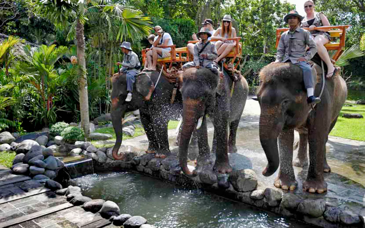 Bali Zoo animal enclosure with exotic animals