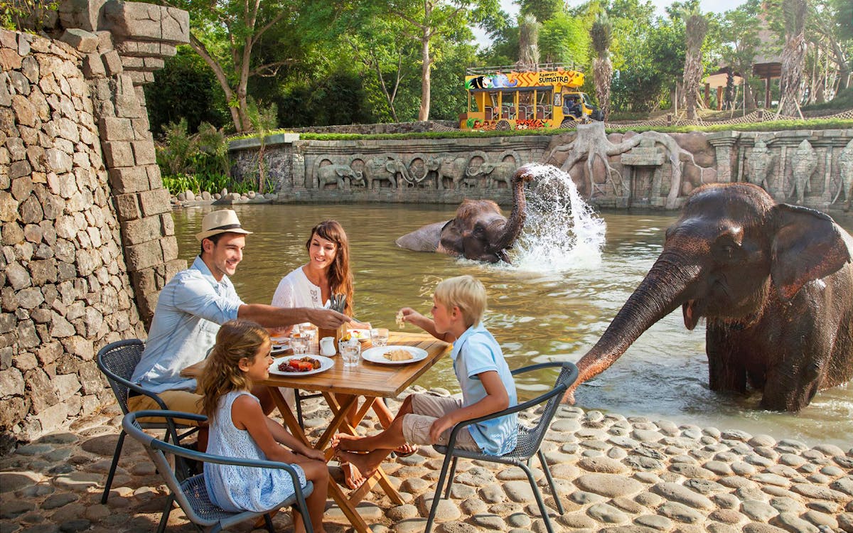 bali zoo combo: breakfast with orangutans & elephant expedition-3 bali zoo combo: breakfast with orangutans & elephant expedition-3