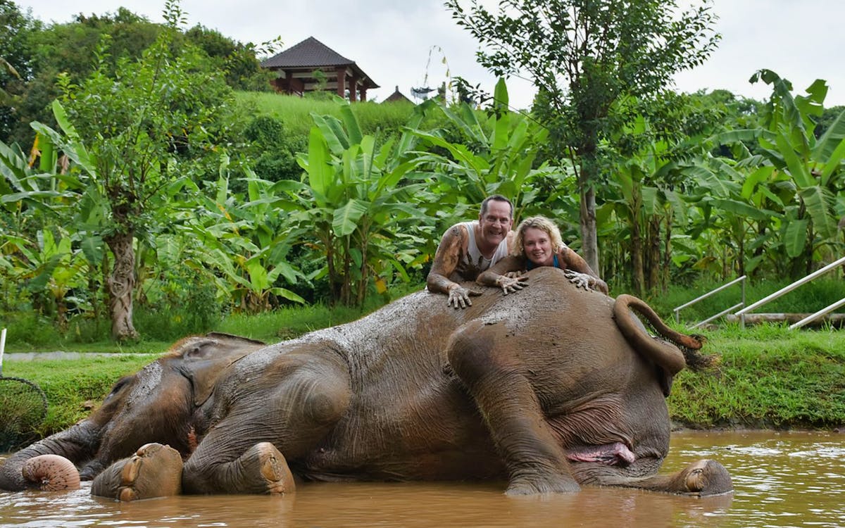 bali zoo combo: breakfast with orangutans & elephant mud fun-3 bali zoo combo: breakfast with orangutans & elephant mud fun-3