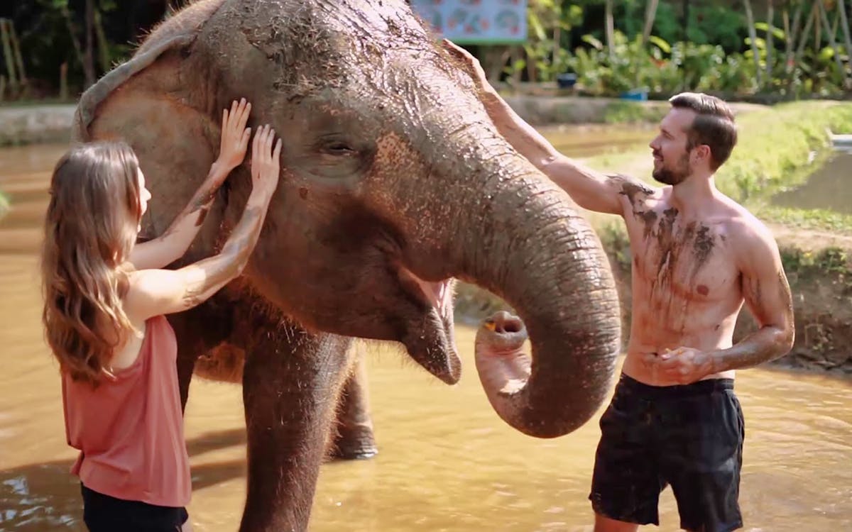 bali zoo combo: breakfast with orangutans & elephant mud fun-4 bali zoo combo: breakfast with orangutans & elephant mud fun-4