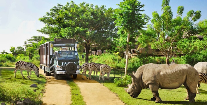 Safari vehicle with visitors observing wildlife at Bali Safari and Marine Park.