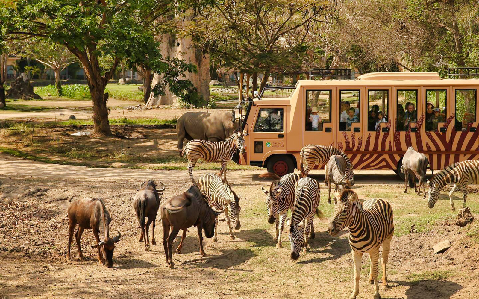 Book Safari Marine Park Tickets 2023 | Best Deals & Discounts