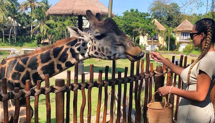 Jungle Hopper Tickets to Bali Safari & Marine Park