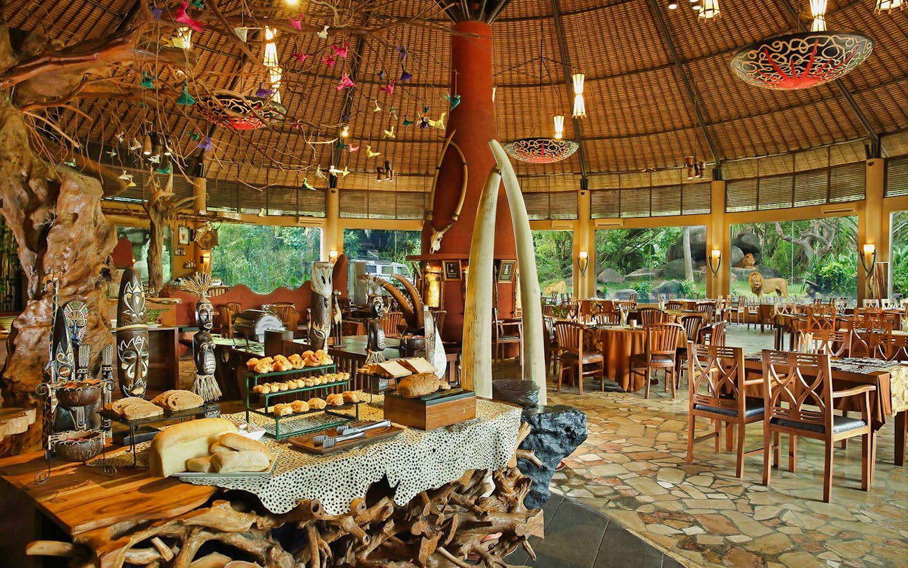 Breakfast buffet setup at Bali Safari and Marine Park with lion view in the background.
