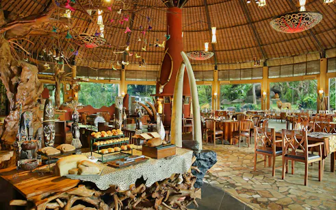 Breakfast buffet setup at Bali Safari and Marine Park with lion view in the background.