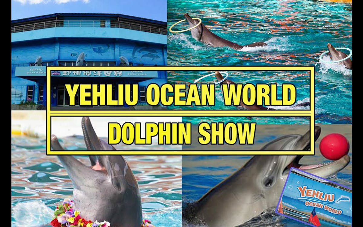 yehliu ocean world ticket-6 yehliu ocean world ticket-6