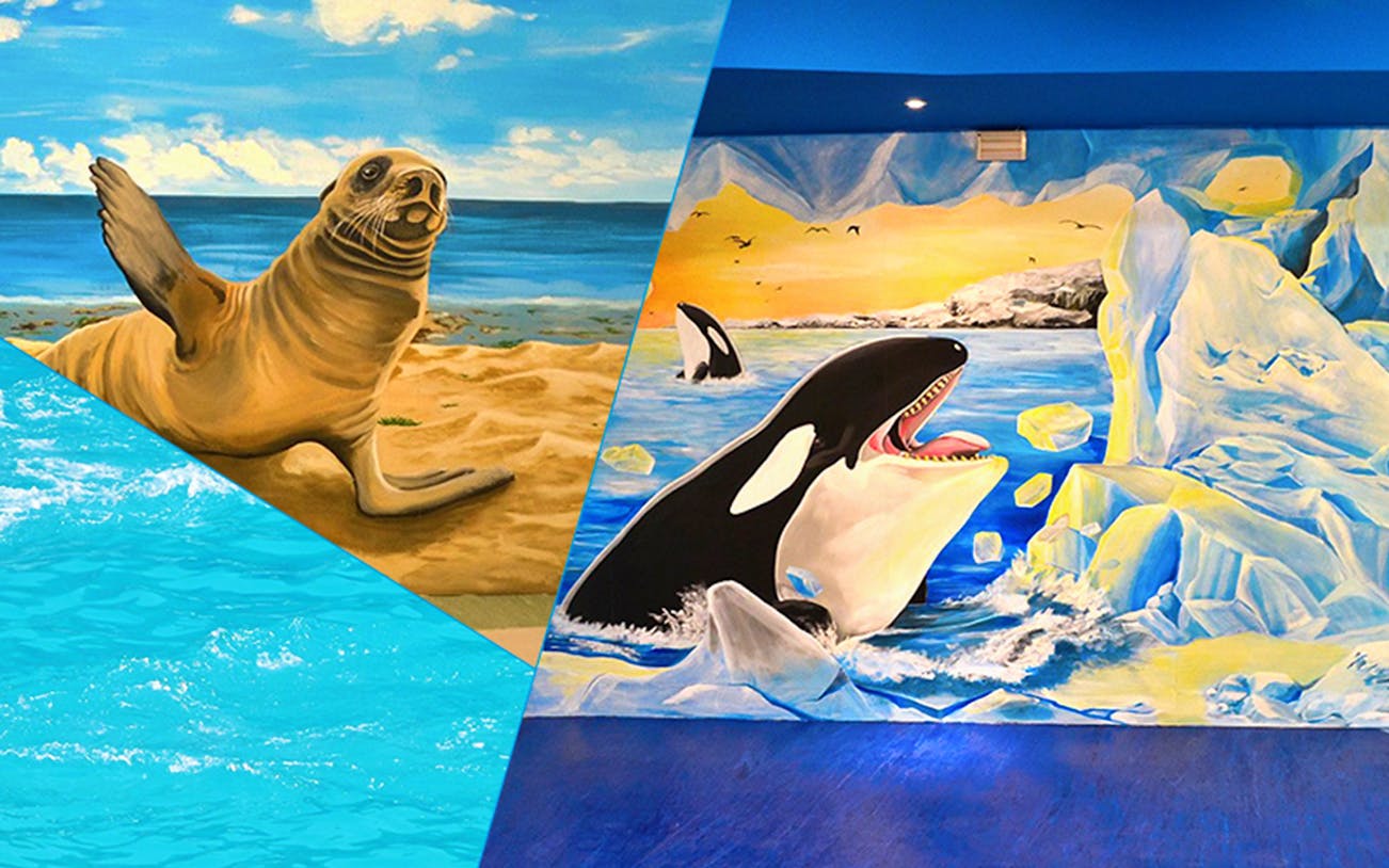 Seal and orca murals at Yehliu Ocean World, Taiwan.