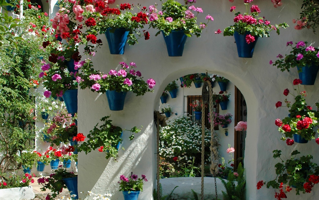 Cordoba patio with vibrant flowers in blue pots on white walls.