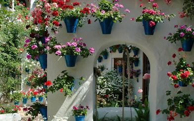 Cordoba patio with vibrant flowers in blue pots on white walls.