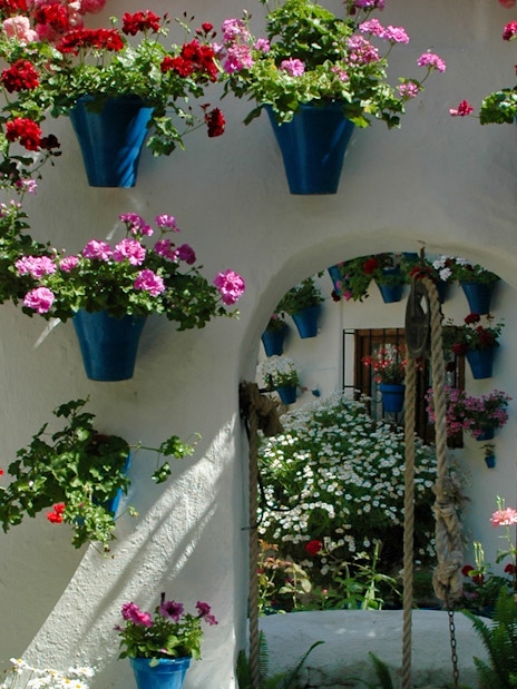 Cordoba patio with vibrant flowers in blue pots on white walls.
