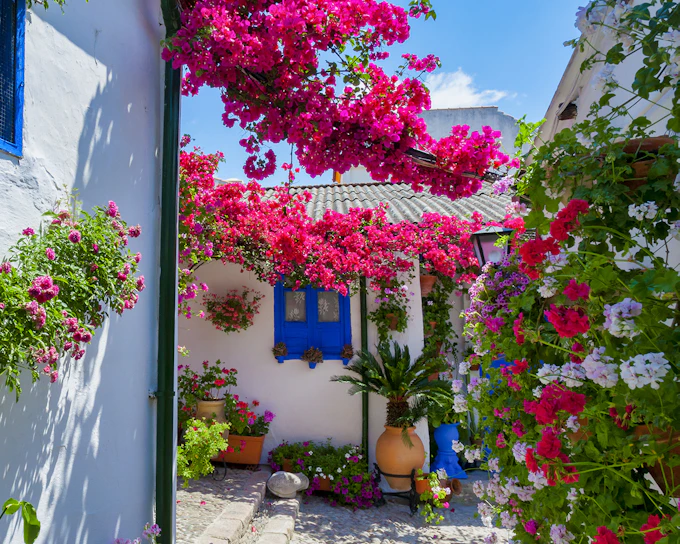 Authentic Patios of Cordoba Skip-the-Line Guided Tour