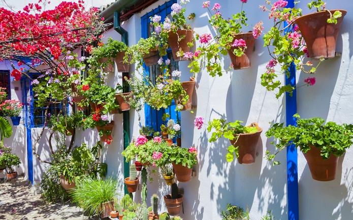 Flower-filled patio with hanging pots in Cordoba, Spain.