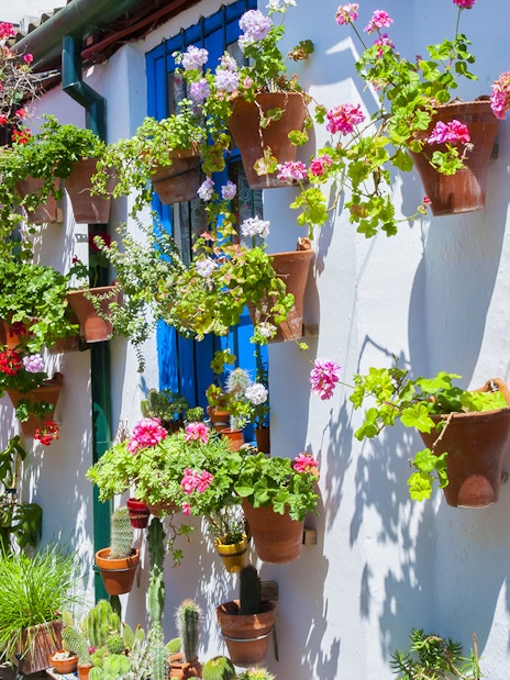 Flower-filled patio with hanging pots in Cordoba, Spain.