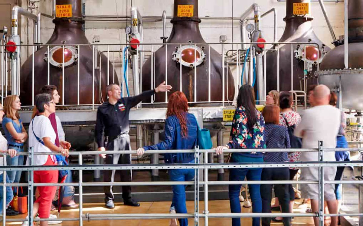 borough market & gin distillery small group tour-3 borough market & gin distillery small group tour-3
