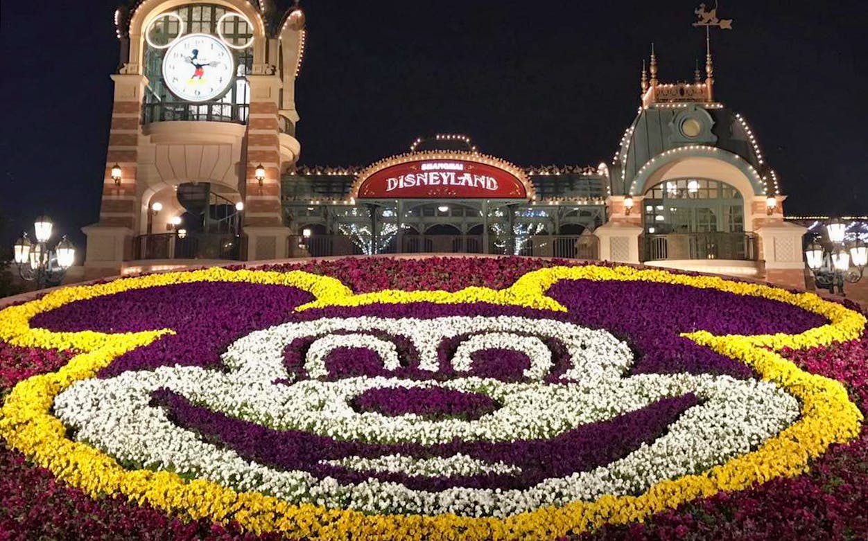 Shanghai Disneyland entrance with Mickey Mouse floral display at night.