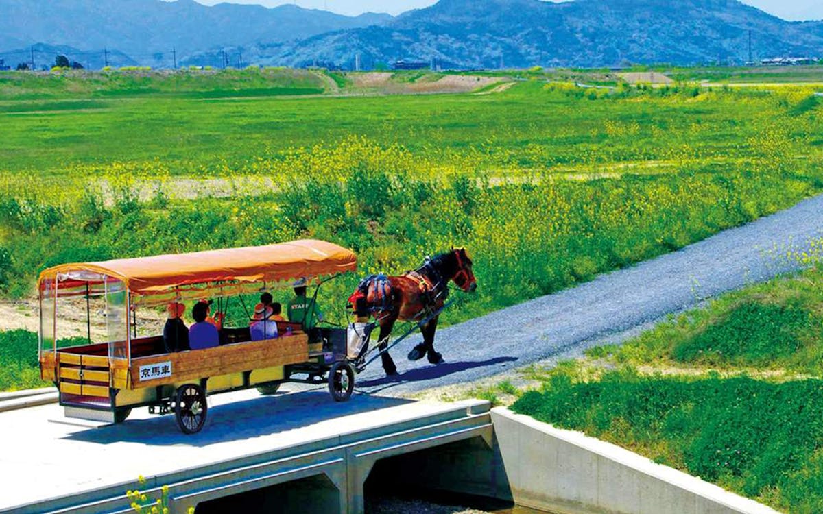 kyoto sagano sightseeing carriage tour-3 kyoto sagano sightseeing carriage tour-3