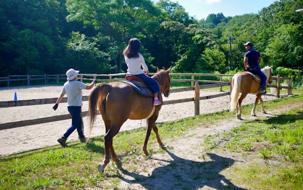 Horse riding through lush forest trails in Kyoto, Japan.