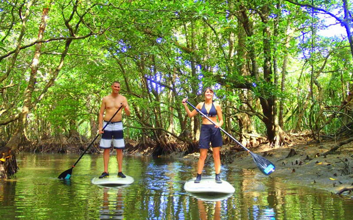 iriomote island kayak/sup nature explore tour-1 iriomote island kayak/sup nature explore tour-1