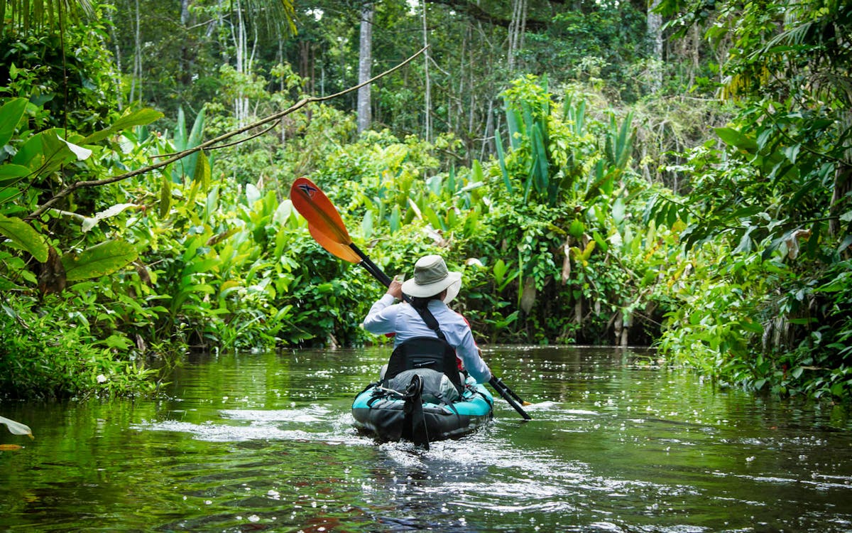 iriomote island kayak/sup nature explore tour-2 iriomote island kayak/sup nature explore tour-2