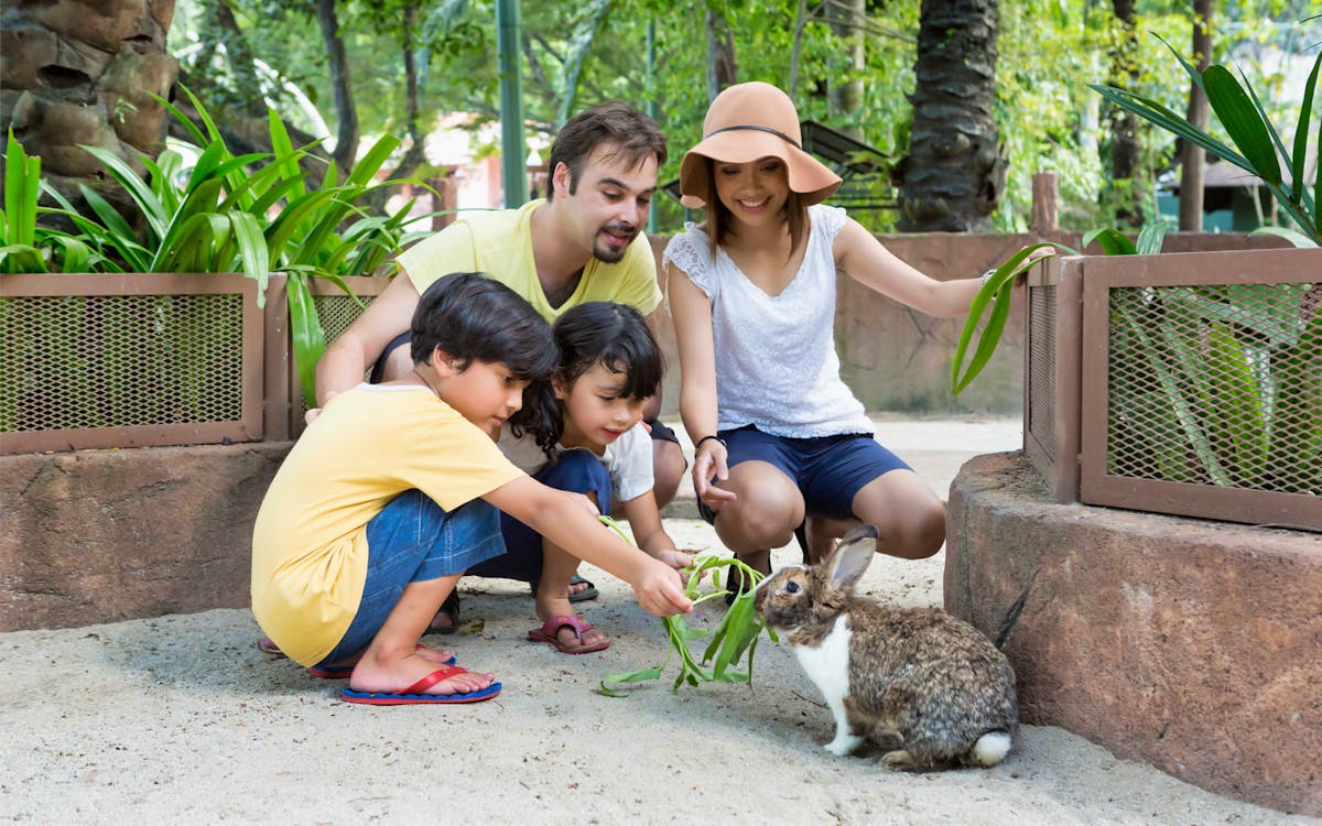 combo: aquaria klcc + sunway lagoon tickets-8 combo: aquaria klcc + sunway lagoon tickets-8