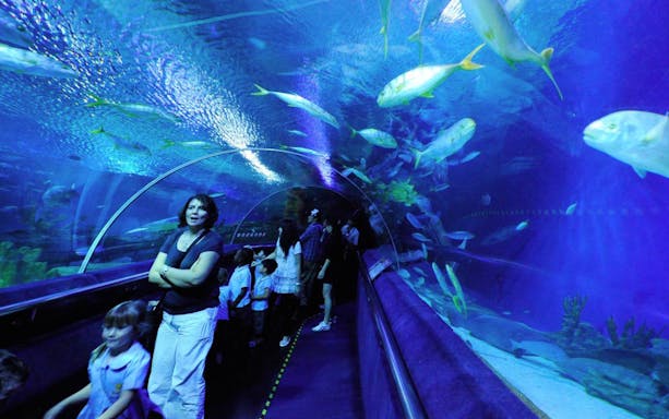 Visitors walking through underwater tunnel at Aquaria KLCC, surrounded by fish.