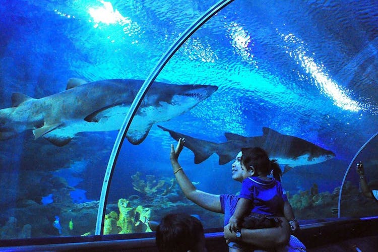 Aquaria KLCC