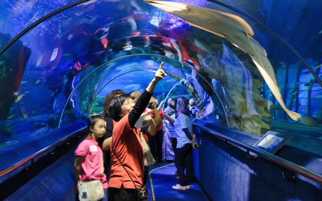 Visitors exploring underwater tunnel at Aquaria KLCC, observing marine life.