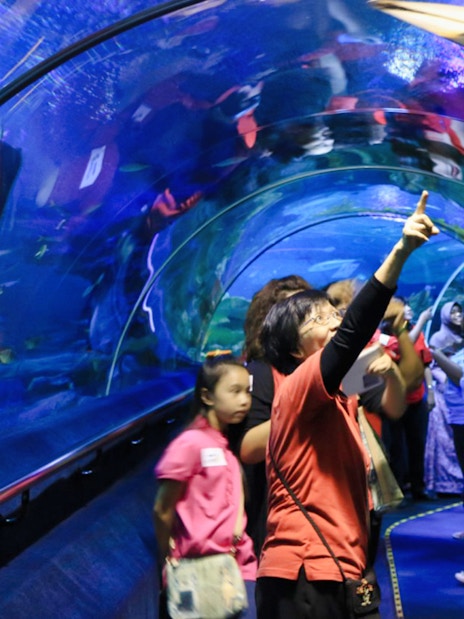 Visitors exploring underwater tunnel at Aquaria KLCC, observing marine life.
