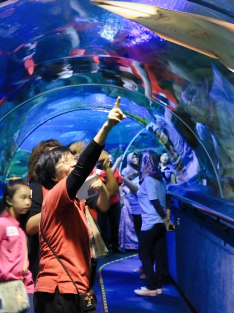 Visitors exploring underwater tunnel at Aquaria KLCC, observing marine life.