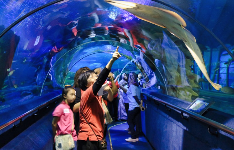 Book KLCC Aquarium Tickets 2021