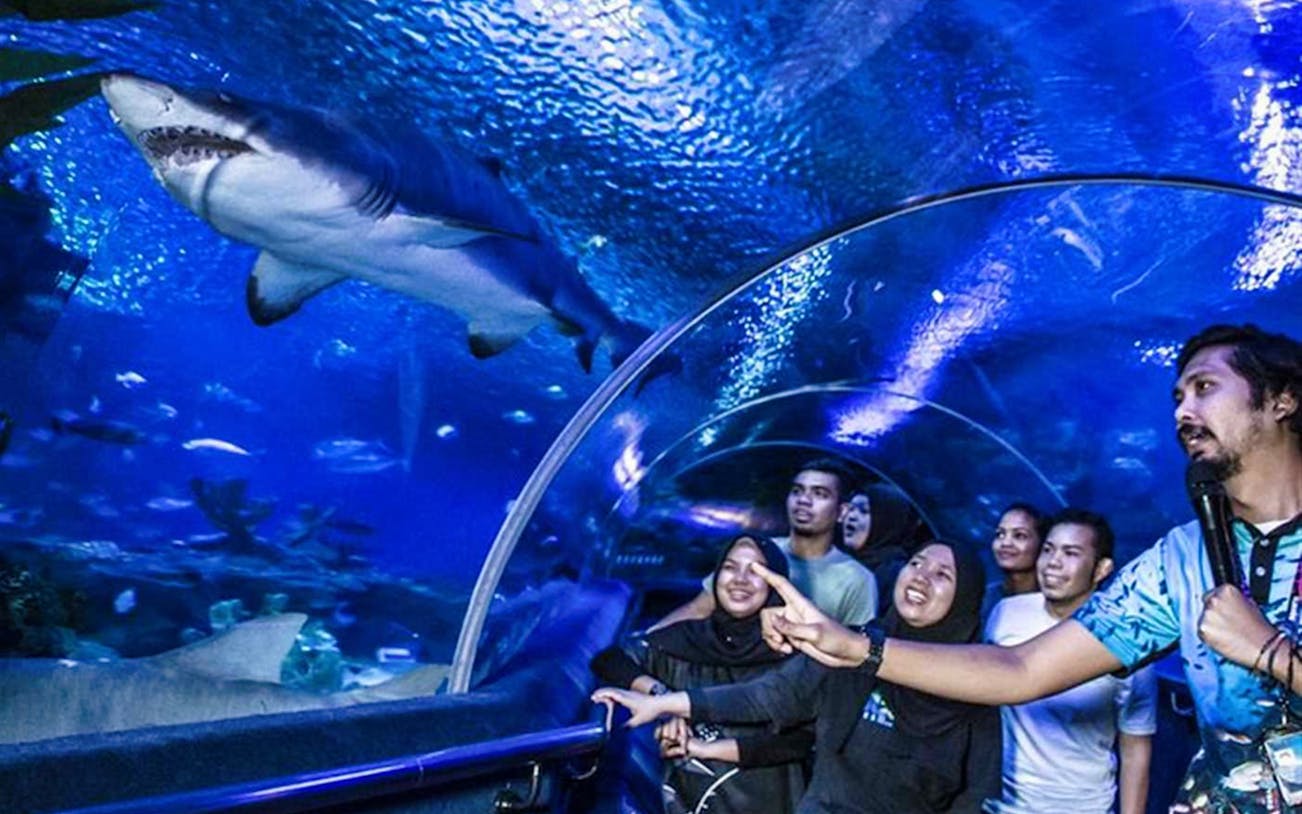 Visitors in underwater tunnel at Aquaria KLCC, viewing a shark swimming overhead.
