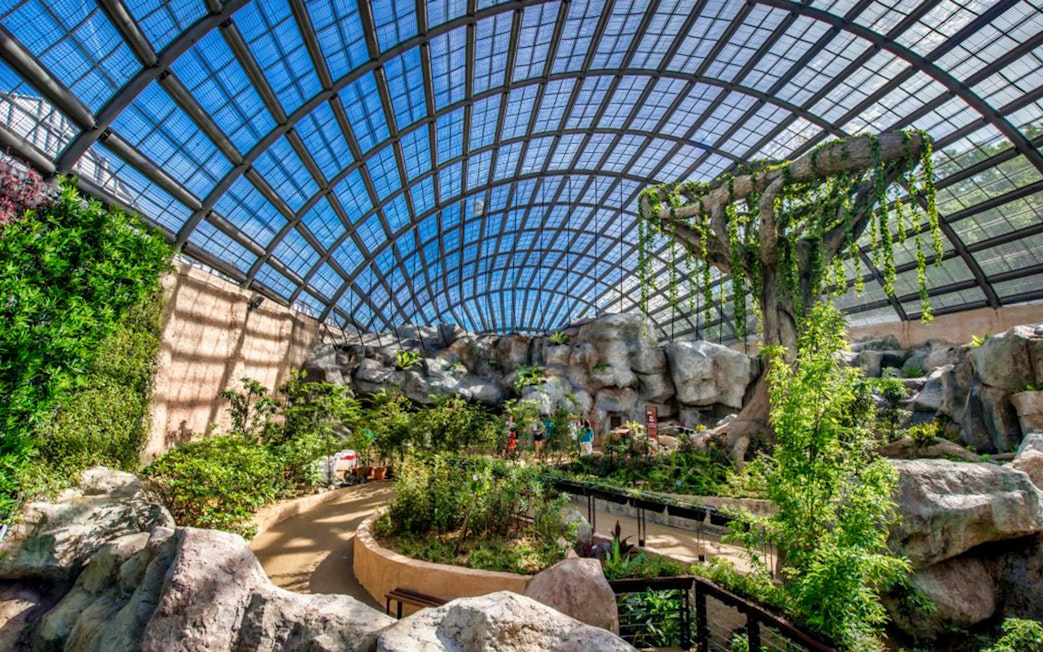 Entopia Penang Butterfly Farm indoor garden with lush greenery and rock formations.