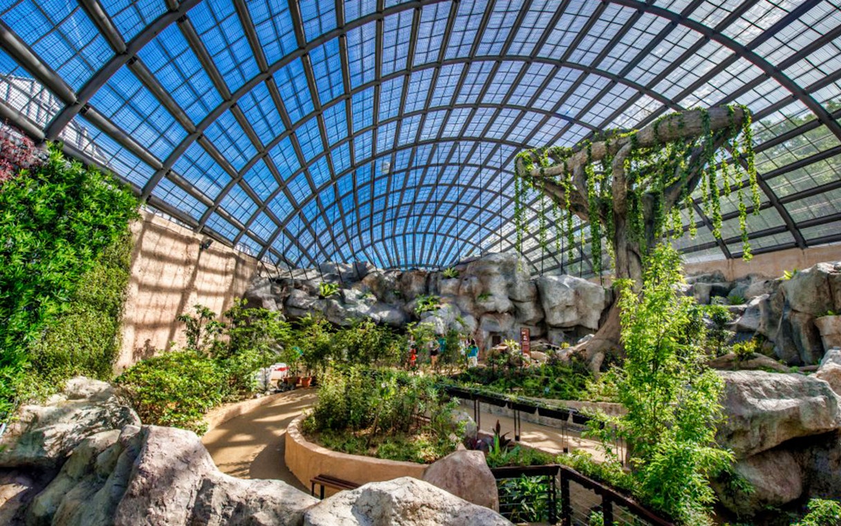 Entopia Penang Butterfly Farm indoor garden with lush greenery and rock formations.