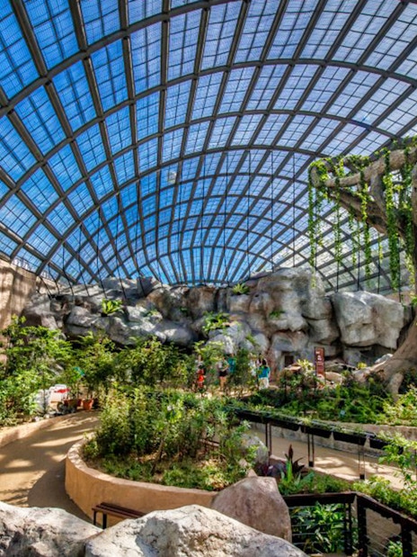 Entopia Penang Butterfly Farm indoor garden with lush greenery and rock formations.