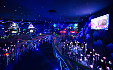 Interactive exhibit at Entopia Penang Butterfly Farm with glowing lights and colorful displays.