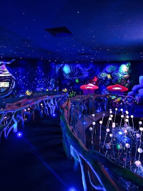 Interactive exhibit at Entopia Penang Butterfly Farm with glowing lights and colorful displays.