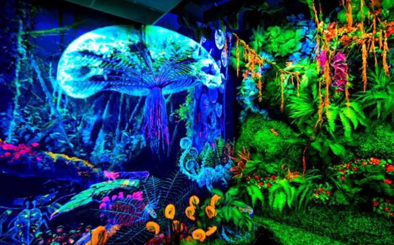 Neon jungle scene with glowing plants and a large luminescent jellyfish at Dark Mansion Museum.