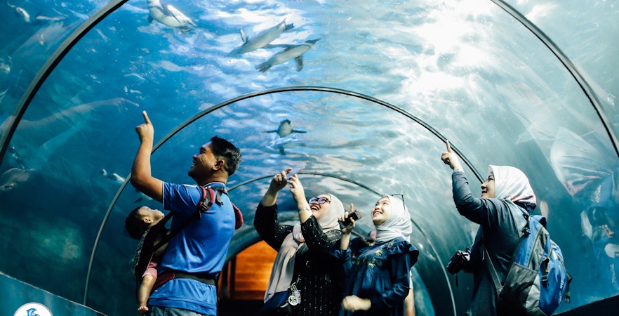 Buy Langkawi Underwater World Tickets