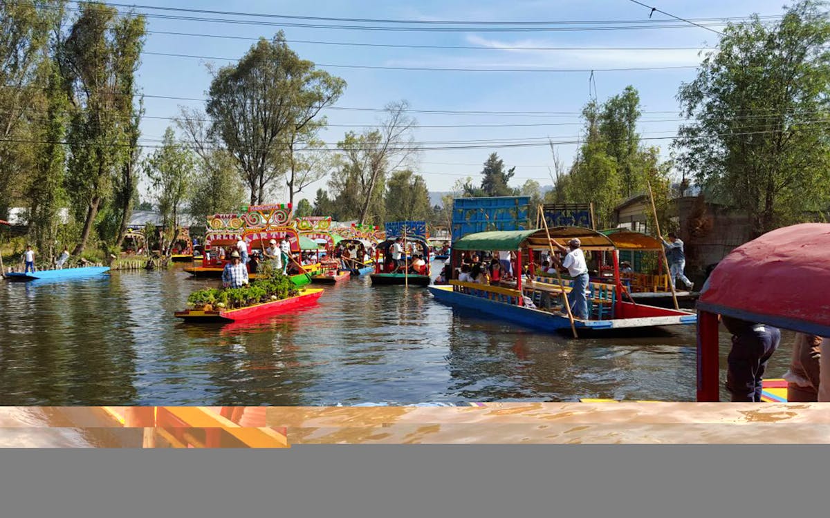 xochimilco & mexico city half day guided tour-8 xochimilco & mexico city half day guided tour-8