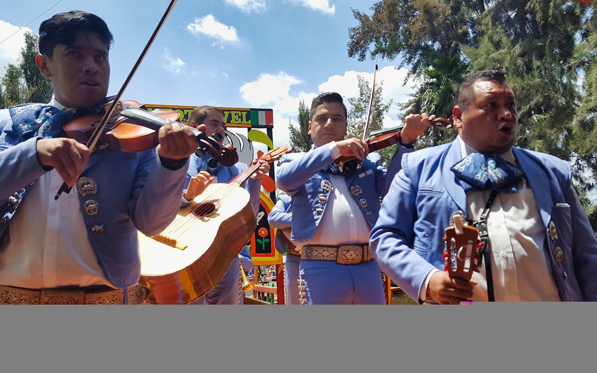 xochimilco & mexico city half day guided tour-7 xochimilco & mexico city half day guided tour-7