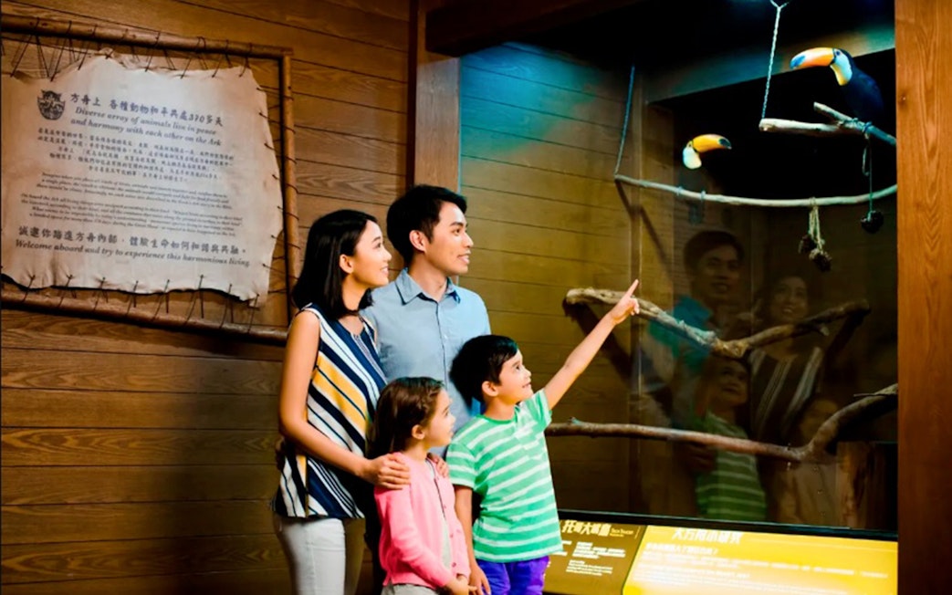 Family observing toucans at Noah's Ark exhibit.