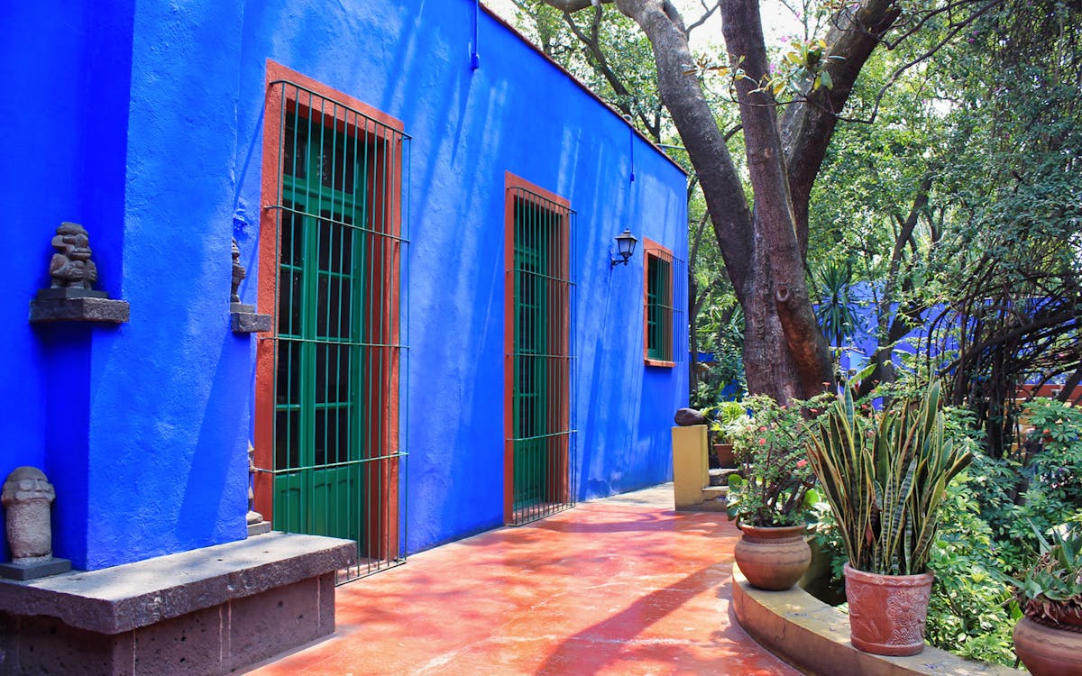 frida kahlo museum guided tour-6 frida kahlo museum guided tour-6