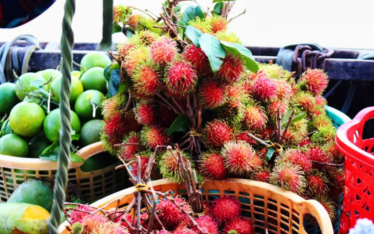 2d1n mekong delta with floating market guided tour-4 2d1n mekong delta with floating market guided tour-4
