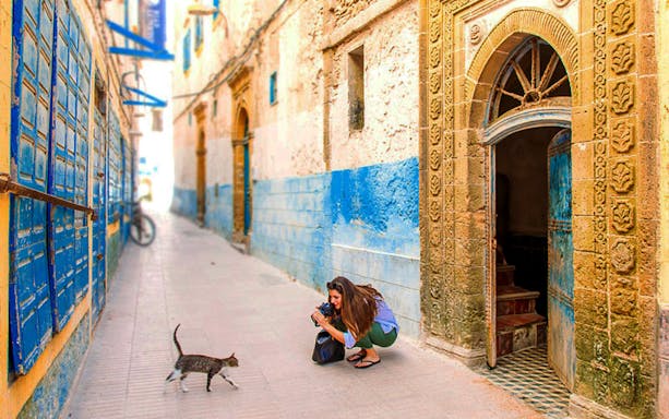 Essaouira Medina alley with a woman photographing a cat, Morocco.