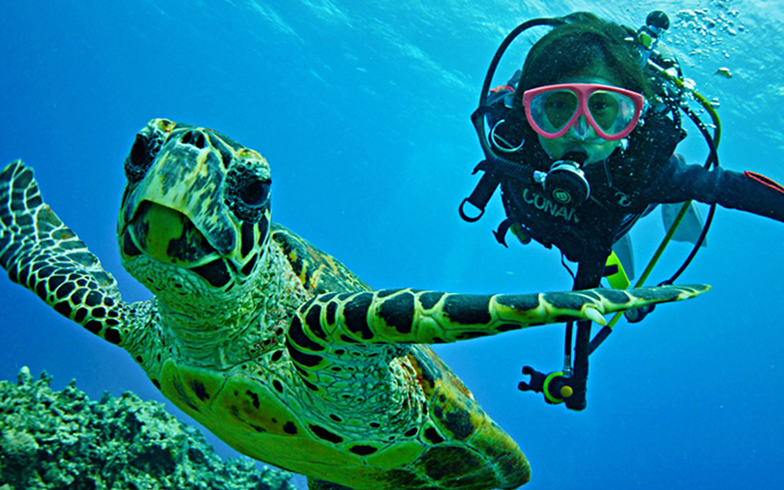 Scuba diver swimming with sea turtle in Kerama Island waters.