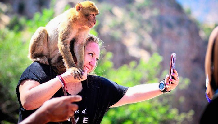 Tourist taking a selfie with a monkey at Ouzoud Waterfalls, Morocco.