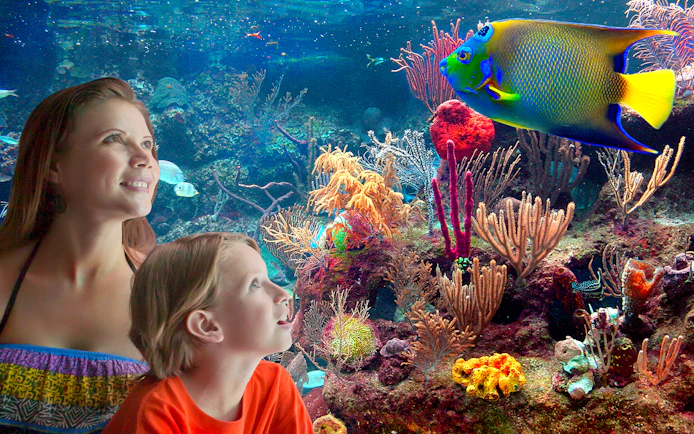 Visitors observing vibrant coral reef and fish at Xcaret Park aquarium.