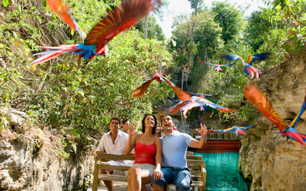 Xcaret Park Entry Tickets