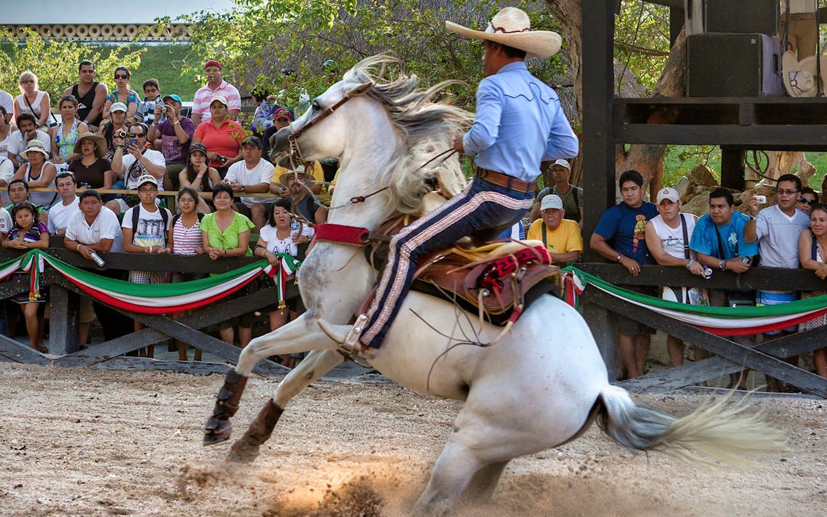 xcaret park: 1-day ticket & night show with official transportation-11 xcaret park: 1-day ticket & night show with official transportation-11