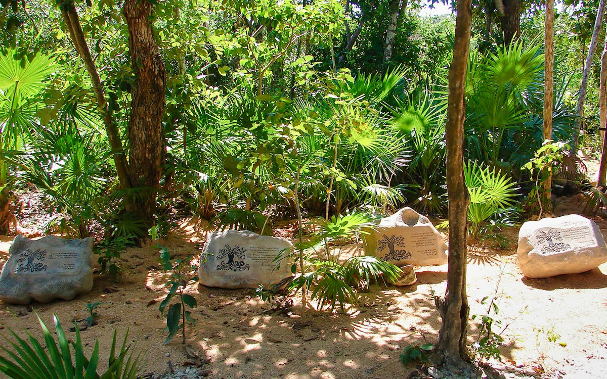 xel há: all inclusive 1-day park with buffet lunch-11 xel há: all inclusive 1-day park with buffet lunch-11